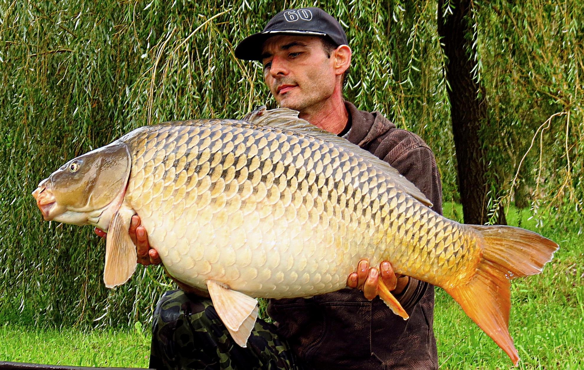 Palici Sep.2014 - img6115-010-comun-1683-kg-la-1055.JPG